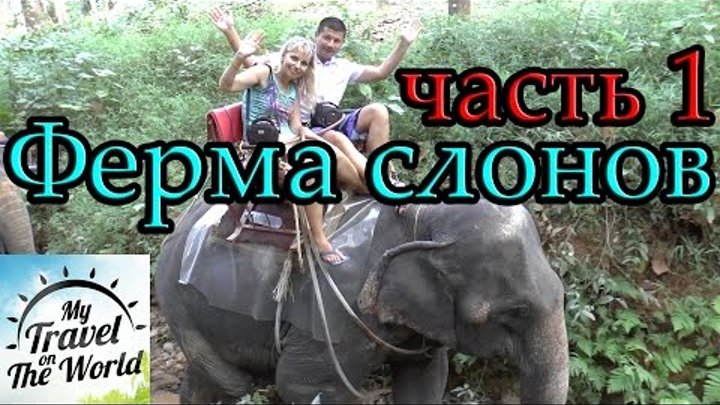 Ферма слонов Win Elephant Tour Khao Sok, Таиланд, часть 1, серия 461 смотреть онлайн Ферма слонов Win Elephant Tour Khao Sok, Таиланд, часть 1, серия 461