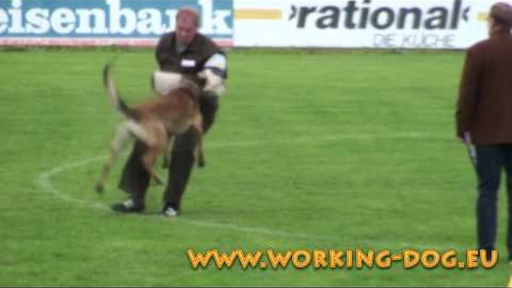Trailer DMC Championat 2009 Waldmünchen Malinois Trailer DMC Championat 2009 Waldmünchen Malinois