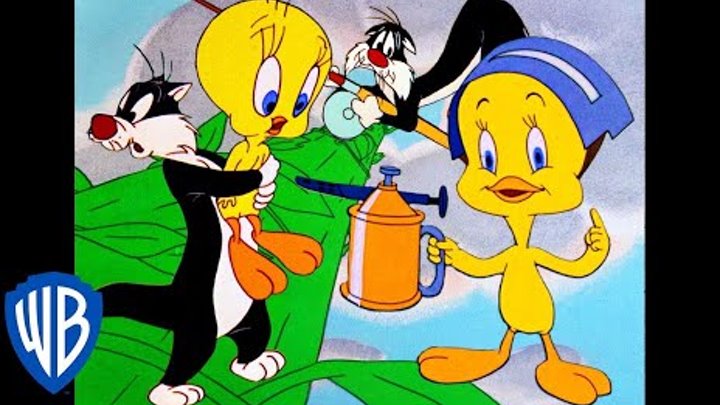 Looney Tunes en Español Latino America | Lo Mejor de Piolín y el Gato Silvestre | WB Kids Looney Tunes en Español Latino America | Lo Mejor de Piolín y el Gato Silvestre | WB Kids