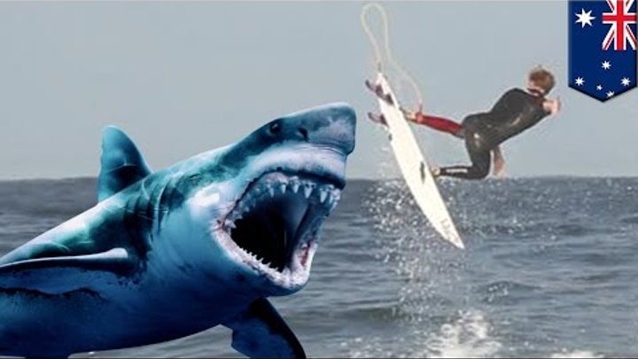 Shark attack: Shark bites chunk out of Australian pro surfer Brett Connellan's leg - TomoNews Shark attack: Shark bites chunk out of Australian pro surfer Brett Connellan's leg - TomoNews