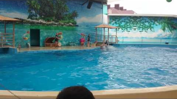 Анапа дельфинарий НЕМО июнь 2016 смотреть онлайн Анапа дельфинарий НЕМО июнь 2016