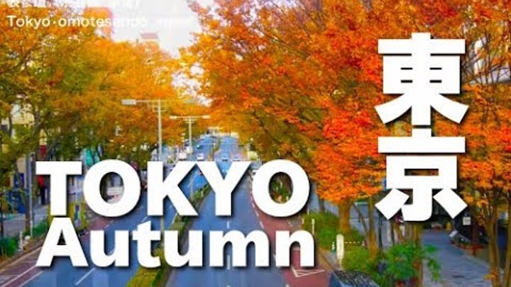 Tokyo Sightseeing 秋の東京の紅葉の名所 Tokyo Autumn leaves spots 東京観光 紅葉便り 日本の秋 Tokyo Sightseeing 秋の東京の紅葉の名所 Tokyo Autumn leaves spots 東京観光 紅葉便り 日本の秋