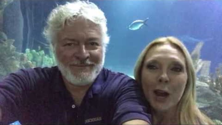 Wedding Date - Debra Danielsen Wedding Date - Debra Danielsen
