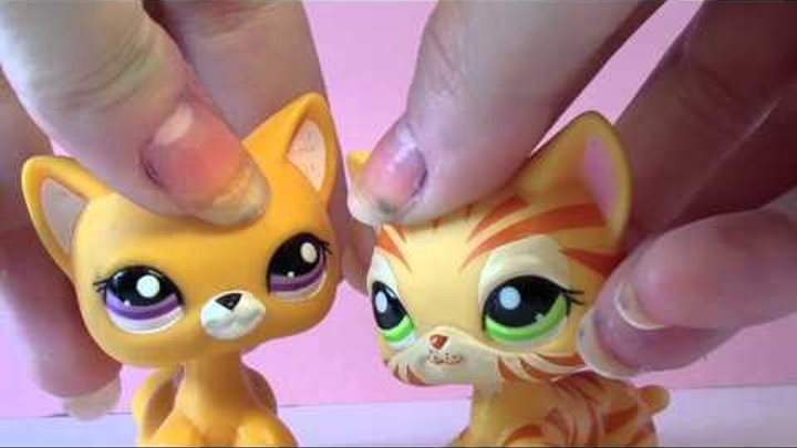 ♥ Littlest Pet Shop: Двойное Счастье (1 сезон 8 серия) ♥