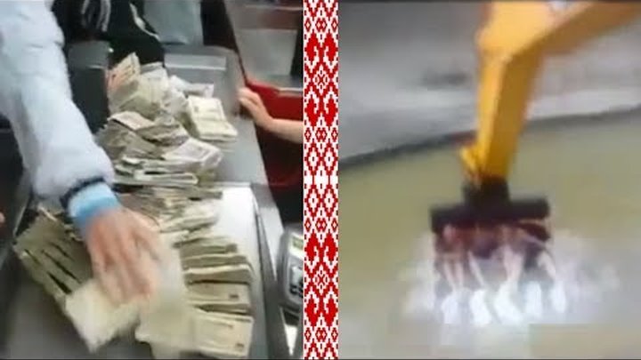 Волк с Уолл-стрит. Анти трейлер Волк с Уолл-стрит. Анти трейлер