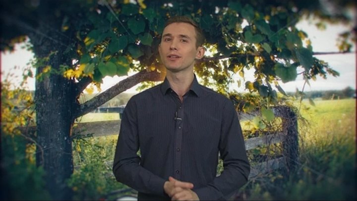 История тому пример: самурай, который рубит пули на лету / Утренний эфир История тому пример: самурай, который рубит пули на лету / Утренний эфир