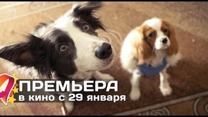 Ёлки лохматые (2015) HD трейлер | премьера 29 января Ёлки лохматые (2015) HD трейлер | премьера 29 января