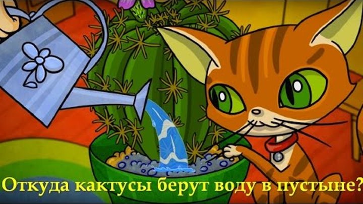 Профессор Почемушкин - Познавательный мультфильм для детей – Откуда кактусы берут воду в пустыне?