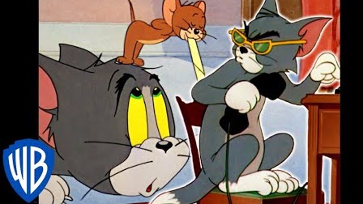 Tom y Jerry en Español Latino America | Cortometrajes Nominados a los Oscars Vol. 1 | WB Kids