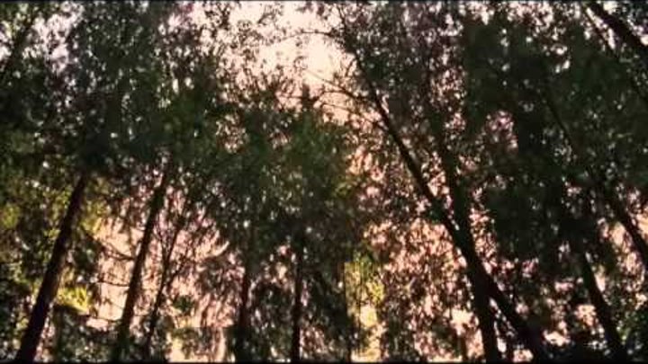 зак эфрон ( Двойная жизнь Чарли Сан-Клауда).avi смотреть онлайн зак эфрон ( Двойная жизнь Чарли Сан-Клауда).avi