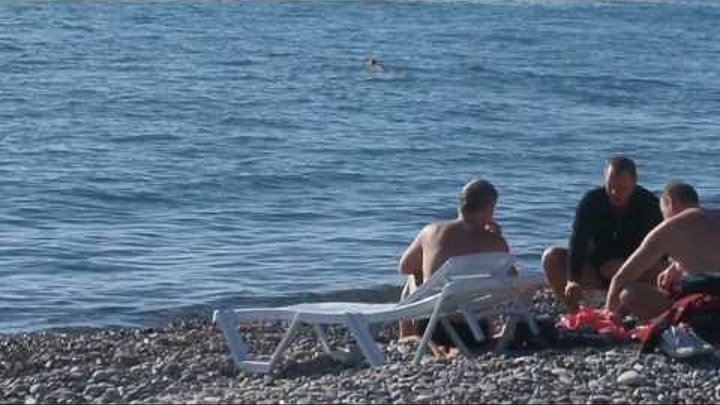 Сочи, вернулся "бархатный сезон" в Лазаревское. Октябрь 2013 Lazarevskoe SOCHI RUSSIA Сочи, вернулся "бархатный сезон" в Лазаревское. Октябрь 2013 Lazarevskoe SOCHI RUSSIA