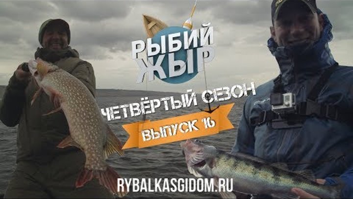 Рыбалка в Сызрани на Саратовском водохранилище. Рыбий жЫр 4 сезон выпуск 16