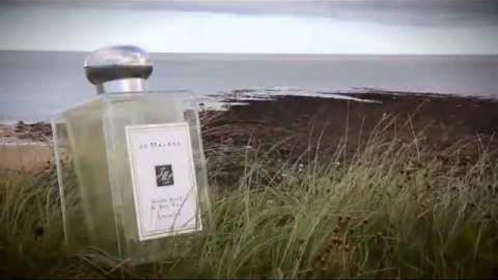 Jo Malone Wood Sage & Sea Salt | bei PARFUMgeflüster Jo Malone Wood Sage & Sea Salt | bei PARFUMgeflüster