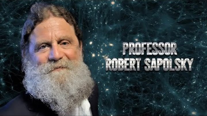 Robert Sapolsky on science, morality, religion and human behavioral biology [Vert Dider] 2017