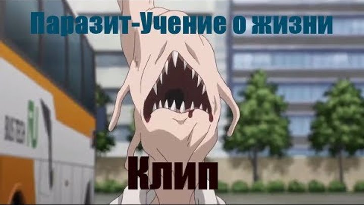 Учение о жизни Паразит Аниме клип Учение о жизни Паразит Аниме клип
