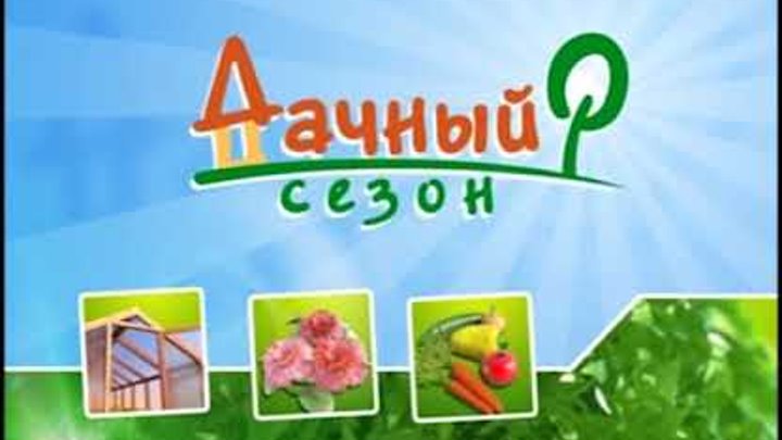 Дачный сезон 14 октября 2017 смотреть онлайн Дачный сезон 14 октября 2017
