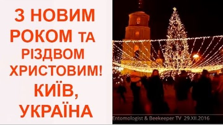 Новорічна Ялинка та Софіївський Собор. З Новим Роком та Різдвом Христовим!
