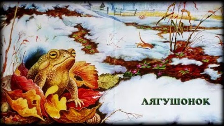 Лягушонок Михаил Пришвин аудио сказка: Baby Book Аудиосказки-Сказки на ночь.Слушать сказки онлайн Лягушонок Михаил Пришвин аудио сказка: Baby Book Аудиосказки-Сказки на ночь.Слушать сказки онлайн