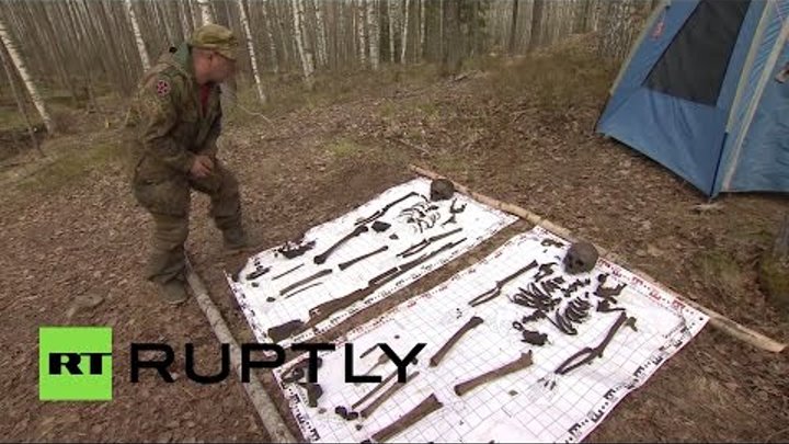 В Ленинградской области найдены останки двух воинов, погибших в ходе ВОВ