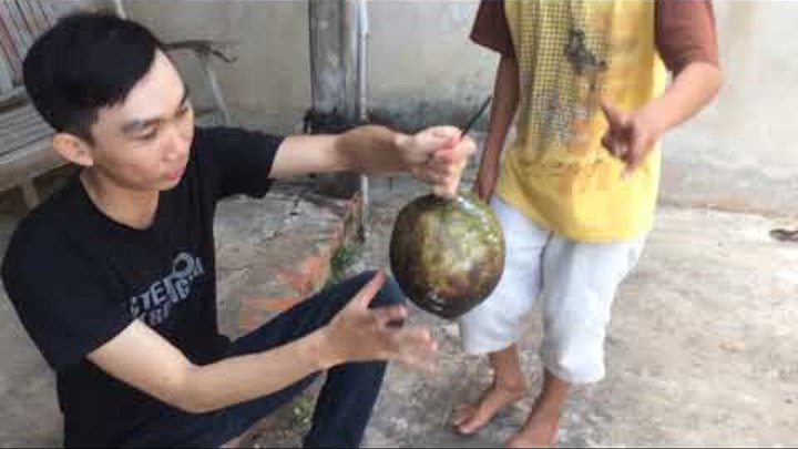 Poul Lin nướng dừa ăn thử và cái kết không ngon như mông đợi Poul Lin nướng dừa ăn thử và cái kết không ngon như mông đợi