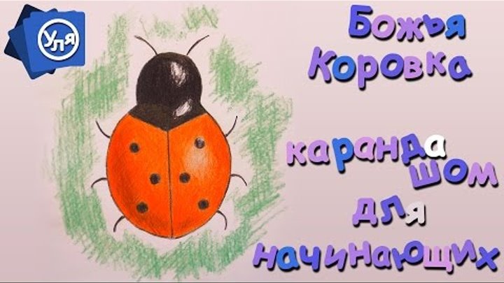 Божья коровка карандашом для начинающих // Рисунки для детей поэтапно Божья коровка карандашом для начинающих // Рисунки для детей поэтапно