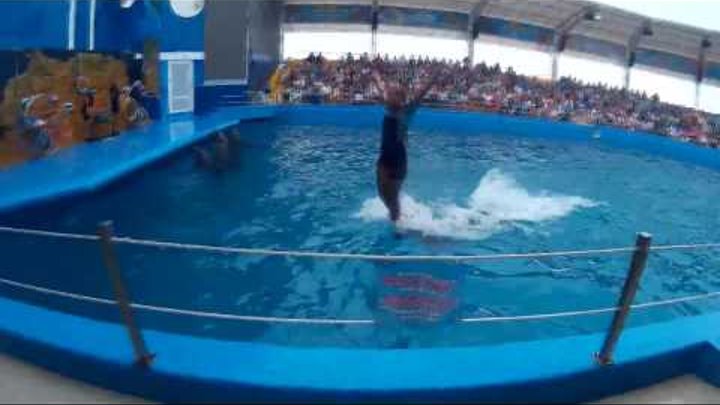 Дельфинарий НЕМО Одесса . Dolphinarium NEMO Odessa 2016 Дельфинарий НЕМО Одесса . Dolphinarium NEMO Odessa 2016