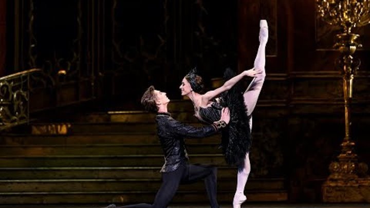 Swan Lake - Coda from the Black Swan pas de deux in Act III (The Royal Ballet)