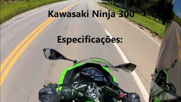Kawasaki Ninja 300 - TOP SPEED (HD)