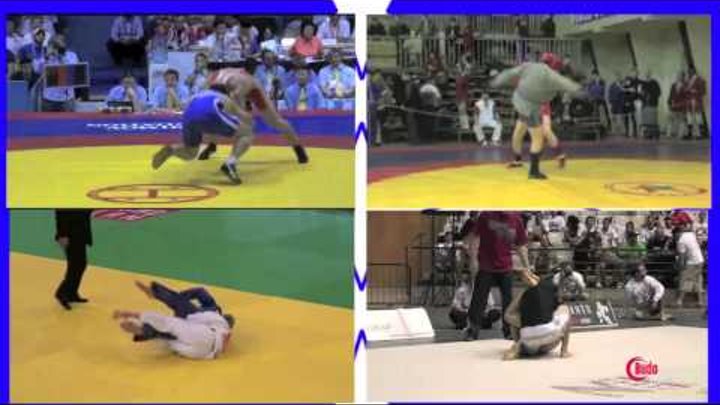 Wrestling - Sambo - BJJ - Judo Highlight Comparison Video