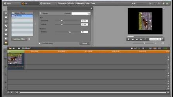Pinnacle Studio 14 Tutorial - How to rotate a video