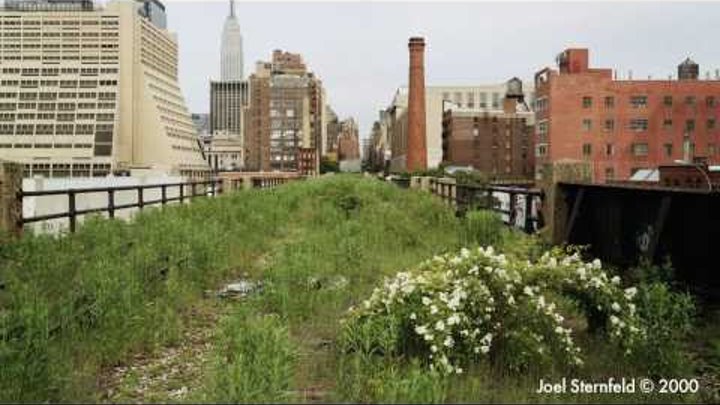 Inhabitat talks to James Corner about the design of the High Line Urban Park Inhabitat talks to James Corner about the design of the High Line Urban Park