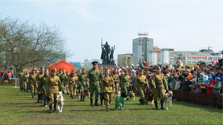 Применение собак в годы войны, 9 мая 2017 Пермь, ЦС ПК и ФСПС