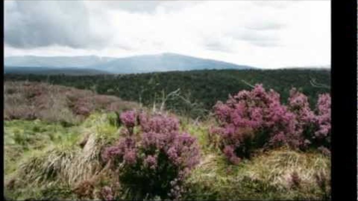 Jean Louis Murat- Au Mont Sans-Souci