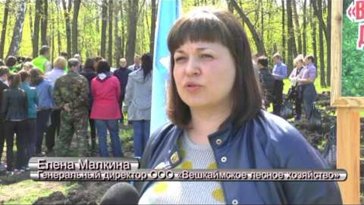 Всероссийский день посадки леса. В Ульяновской области посадили 200 тысяч деревьев