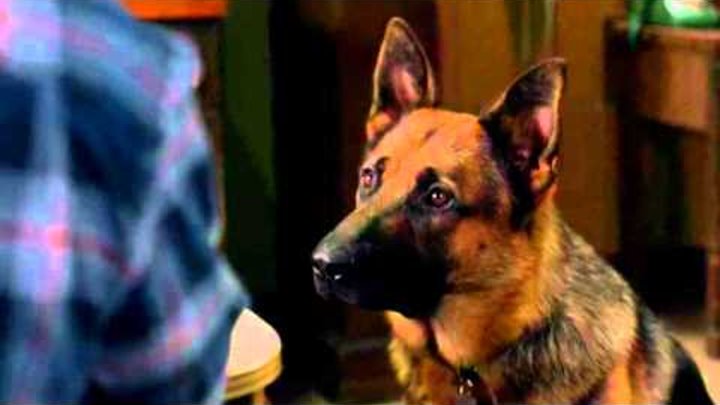 Сверхестественное 9 сезон 5 серия(Смешные моменты) смотреть онлайн Сверхестественное 9 сезон 5 серия(Смешные моменты)