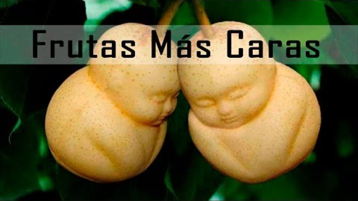 Las frutas mas caras y raras del mundo | curiosi top Las frutas mas caras y raras del mundo | curiosi top