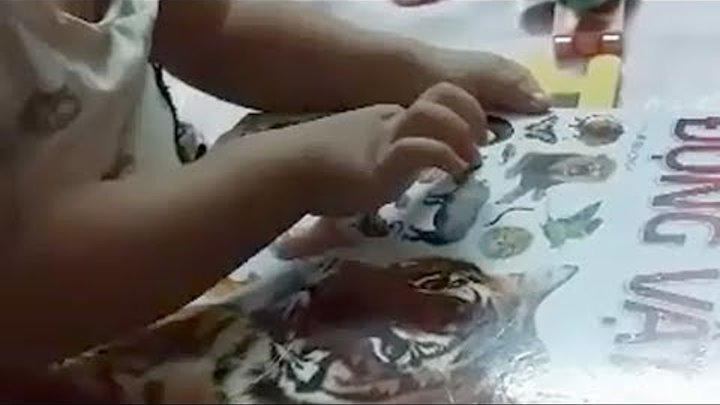 Em bé phá kỷ lục về cách nhận biết con vật nhỏ tuổi nhất - Dậy bé học con vật Em bé phá kỷ lục về cách nhận biết con vật nhỏ tuổi nhất - Dậy bé học con vật
