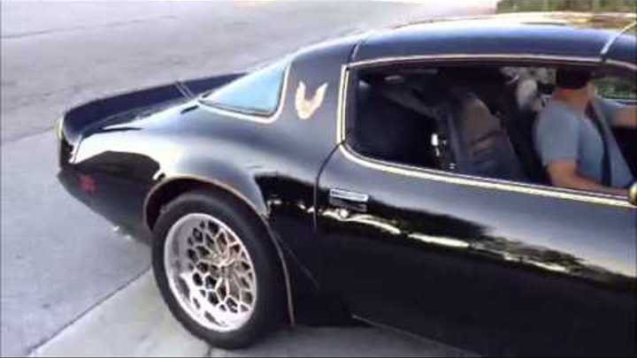 1979 Trans Am SPECIAL EDITION 7,4 LITER PERFORMANCE KING OF BURNOUTS