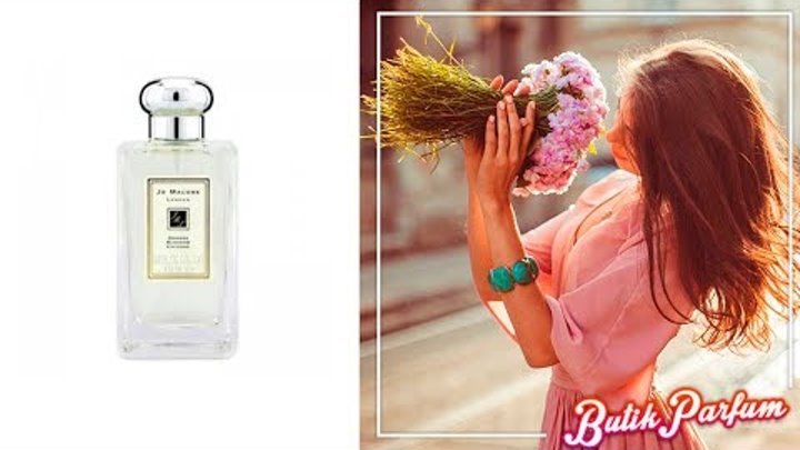 Jo Malone Orange Blossom (Джо Малон Оранж Блоссом) - обзор Jo Malone Orange Blossom (Джо Малон Оранж Блоссом) - обзор