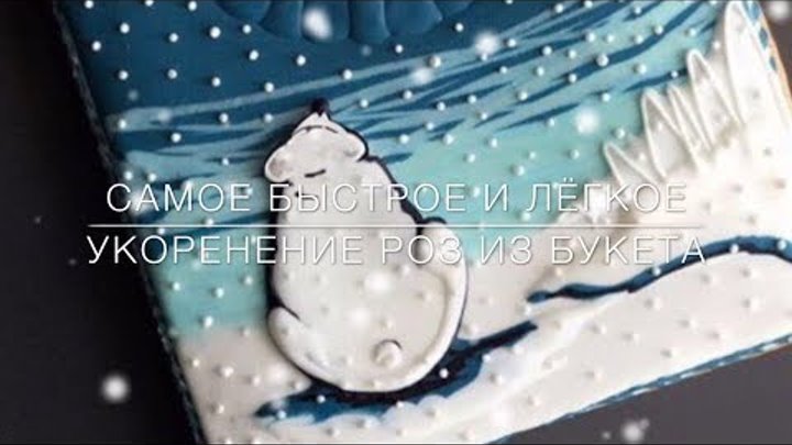 Самое Быстрое И Лёгкое Укоренение Роз Из Букета Самое Быстрое И Лёгкое Укоренение Роз Из Букета