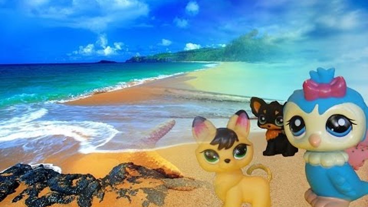 Рet shop. Урок на всю жизнь. Маленький зоомагазин. Littlest pet shop 2016. LPS. Мультики 2016. Рet shop. Урок на всю жизнь. Маленький зоомагазин. Littlest pet shop 2016. LPS. Мультики 2016.