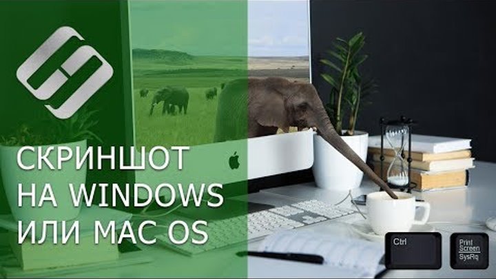 Как сделать скриншот экрана на компьютере или ноутбуке с Windows или MacOS 💻⌨️🖼️ Как сделать скриншот экрана на компьютере или ноутбуке с Windows или MacOS 💻⌨️🖼️