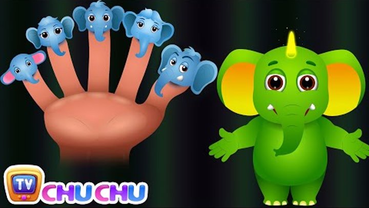 Elephant Finger Family | ChuChu TV Animal Finger Family Songs & Nursery Rhymes For Children