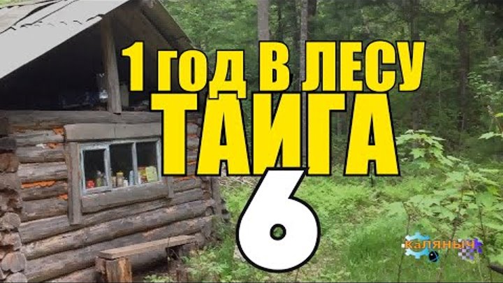 ГОД В ГЛУХОЙ ТАЙГЕ | ВСТРЕЧА С СОХАТЫМ | КРУШЕНИЕ САМОЛЕТА 2 | ТУПИК | ВЫЖИТЬ В ЛЕСУ 6 из 10