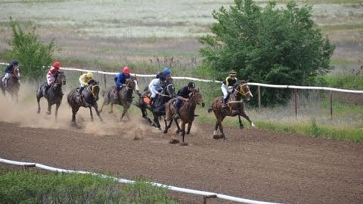 Скачки на лошадях Элиста 16 мая 2013г. IV заезд, 2000 метров