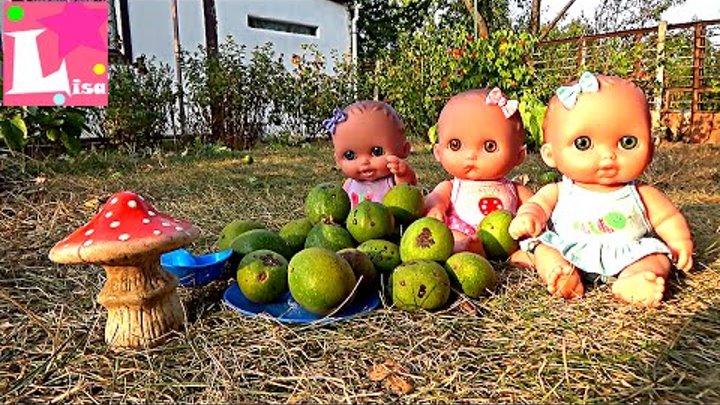 Дочки матери В ДЕРЕВНЕ У БАБУШКИ собирают грибы и орехи Мультик с куклой