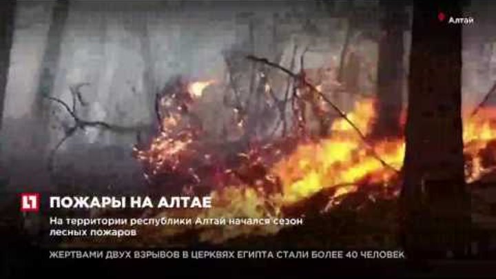 На территории республики Алтай начался сезон пожаров