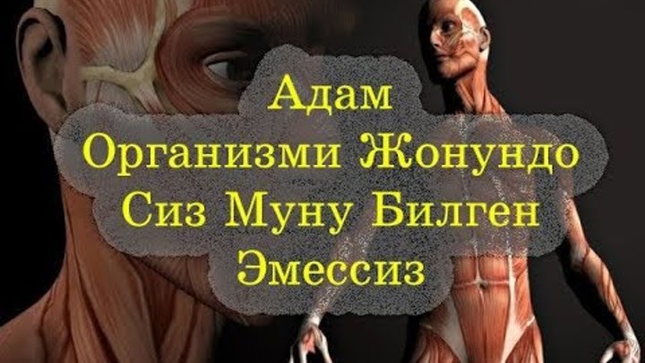 Адам Организми Жонундо Сиз Билбеген Кызыктуу Фактылар /2018 Адам Организми Жонундо Сиз Билбеген Кызыктуу Фактылар /2018