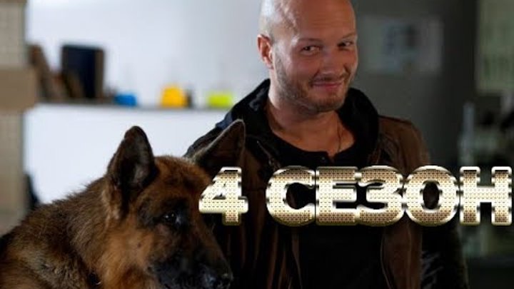 Пес 4 сезон 1 серия - Дата выхода, анонс, содержание Пес 4 сезон 1 серия - Дата выхода, анонс, содержание