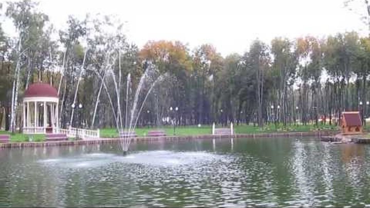 Озеро и чёрные лебеди в Парке Горького Харьков Black swans in Gorky Park Kharkov
